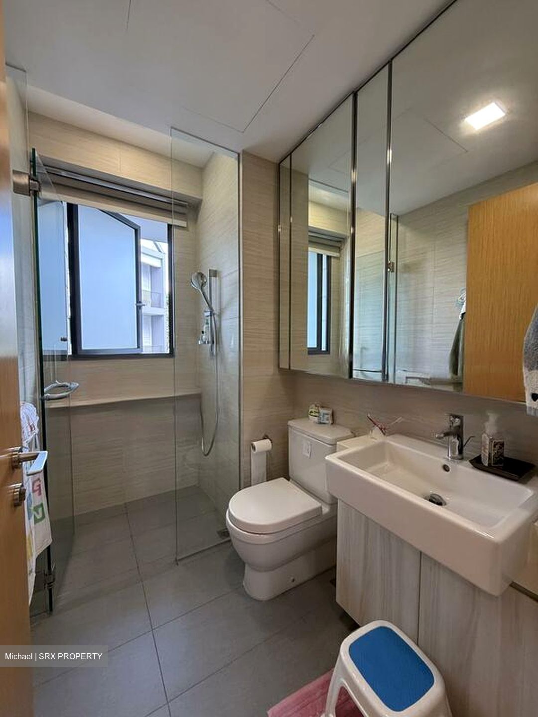 Seventy Saint Patrick's (D15), Condominium #484957191